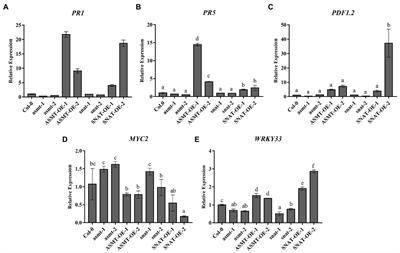 Roles of Endogenous Melatonin in Resistance to Botrytis cinerea Infection in an Arabidopsis Model